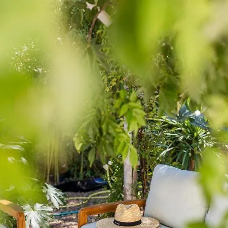 Lägenhet Le Clos De La Pinede Avec Ses Luxueuses 300 E Par Chambre Saint-Tropez